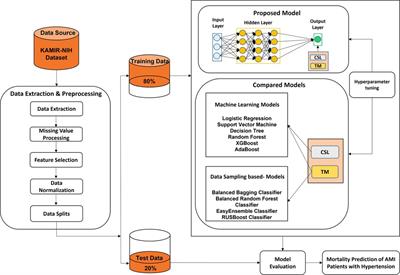 Frontiers | A cost-sensitive deep neural network-based prediction 